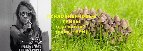 apvp Балабаново